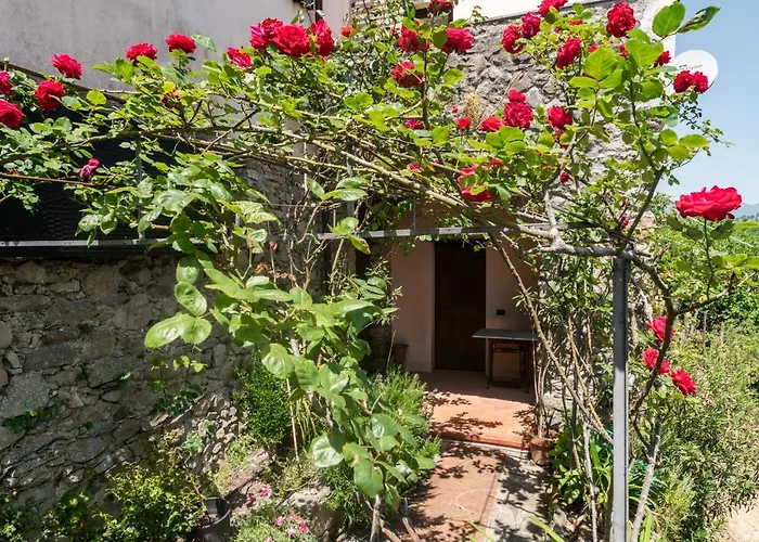 Guesthost - Nearby 5 Terre Lovely Mansarda Lejlighed *